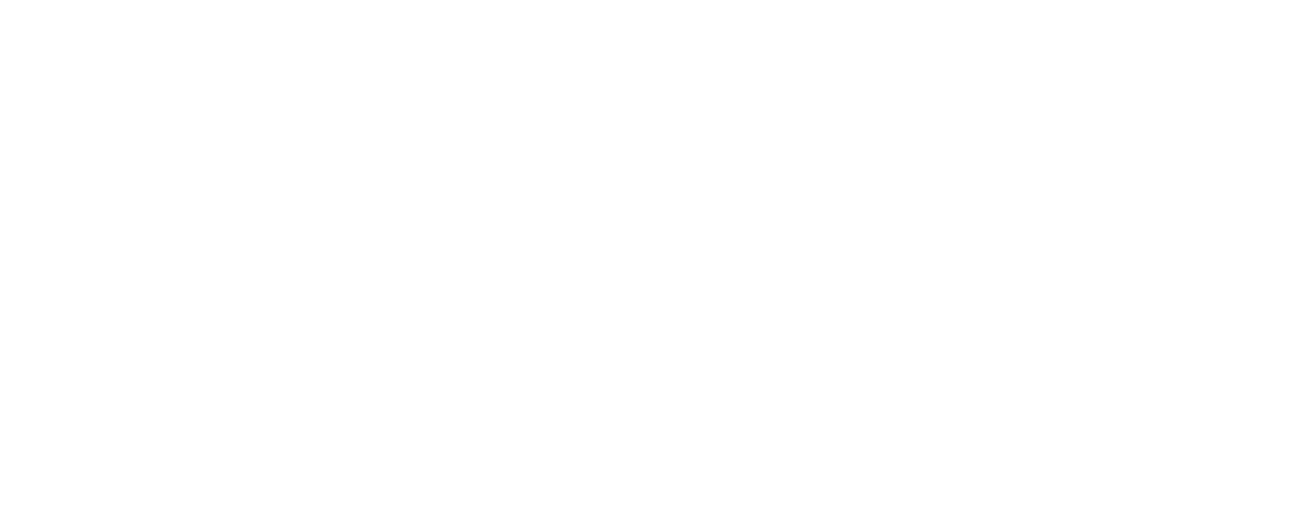 Main Logo white